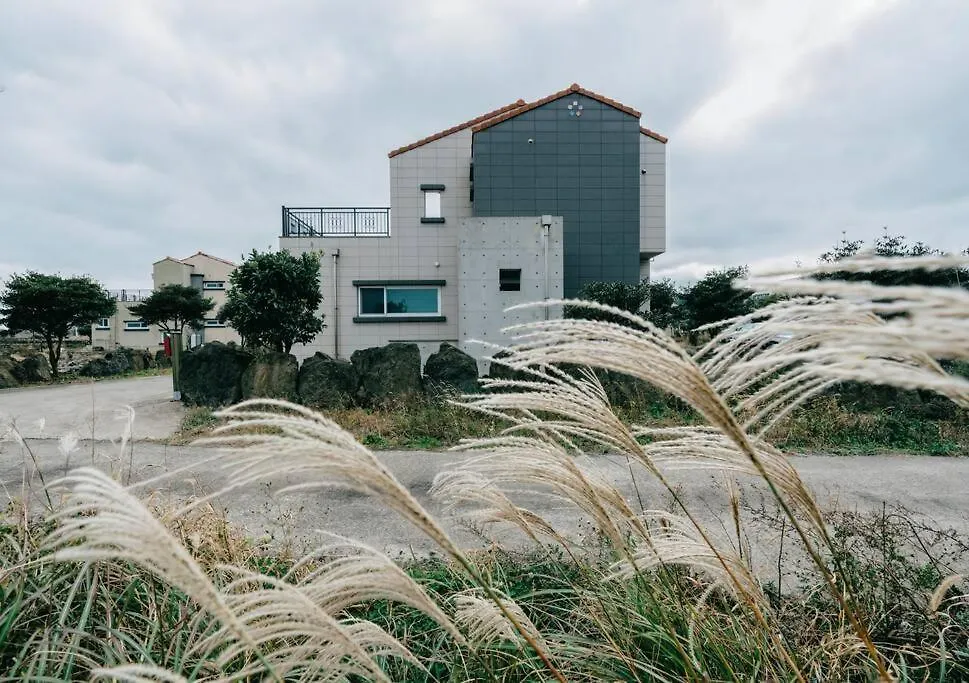 Modern House Villa Jeju